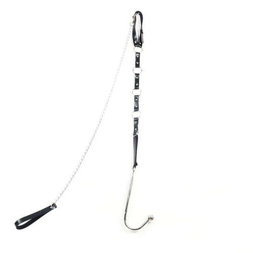 and Leash Anal with Collar 5853 Hook EverydayUse Kinky 0116